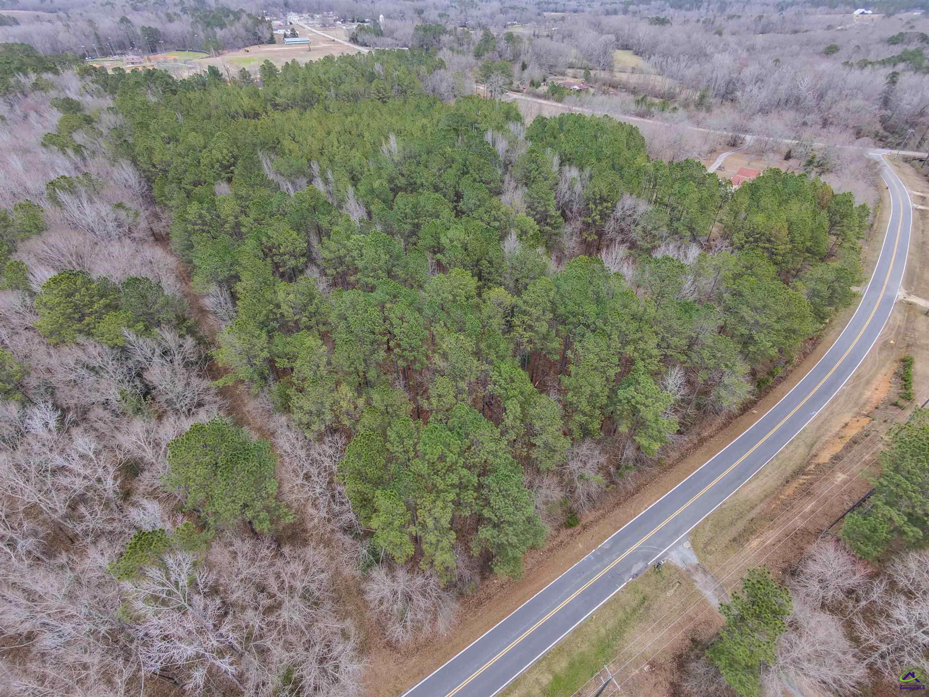 12.6-acres Hicks Road Roberta, GA 31078 - Photo 11 of 17