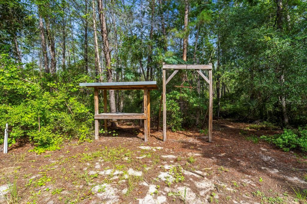 24607 Polar Bear Road Paisley, FL 32767 - Photo 38 of 47