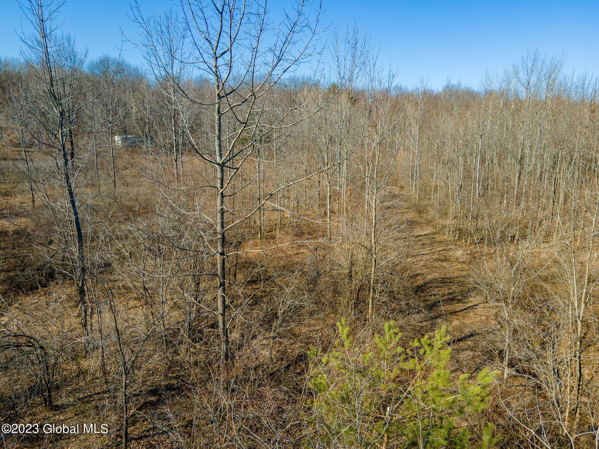 L2 West Fiery Hill Road Fort Plain, NY 13339 - Photo 11 of 18 11-web-or-mls-WFieryHillRd-11
