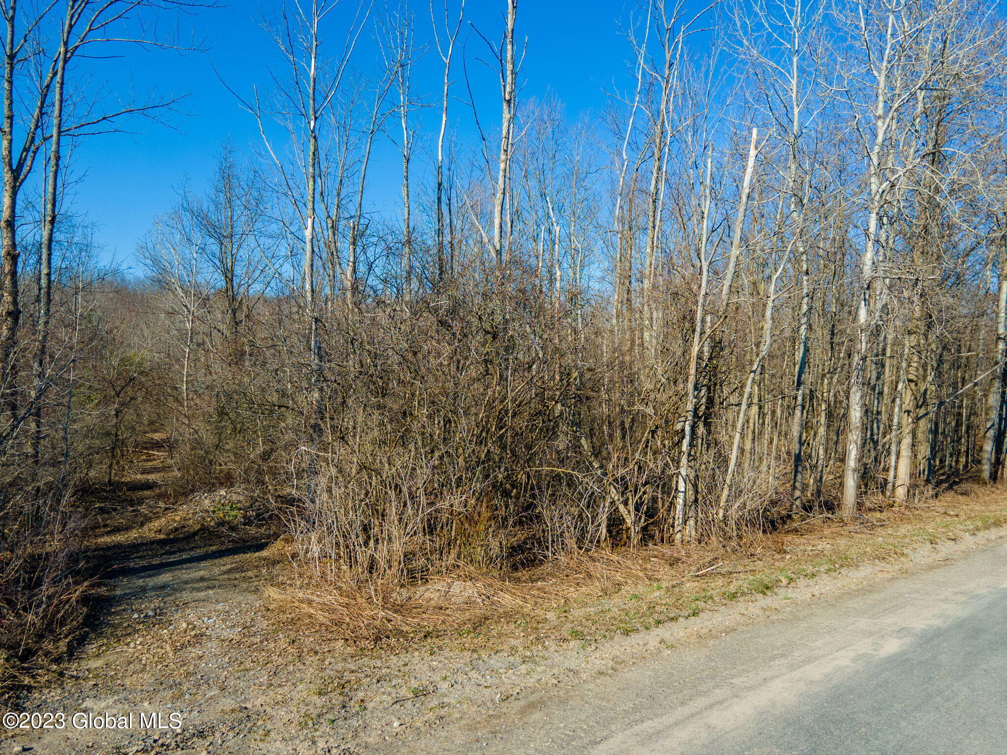 L2 West Fiery Hill Road Fort Plain, NY 13339 - Photo 13 of 18 13-web-or-mls-WFieryHillRd-13