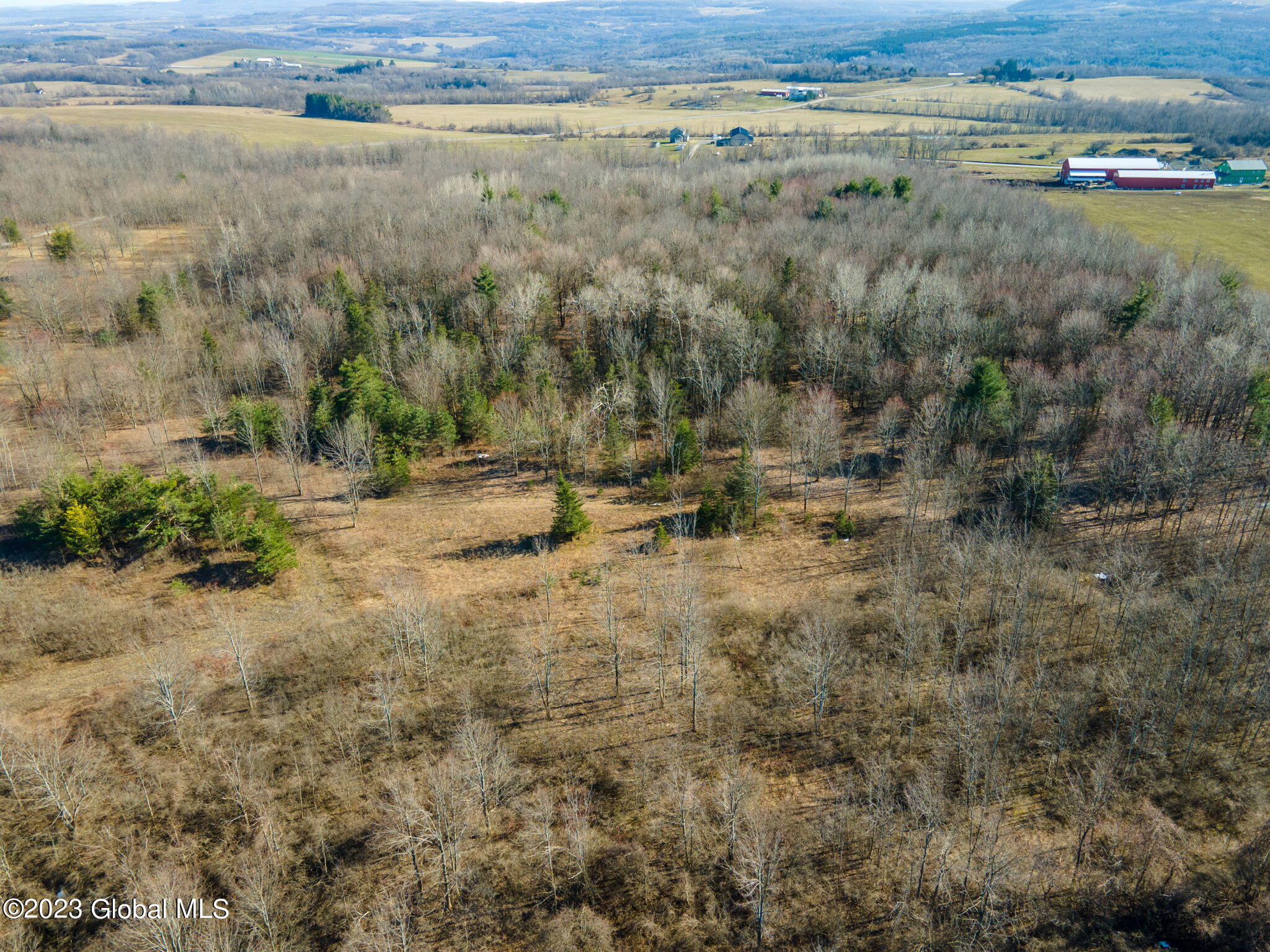 L2 West Fiery Hill Road Fort Plain, NY 13339 - Photo 4 of 18 4-web-or-mls-WFieryHillRd-4