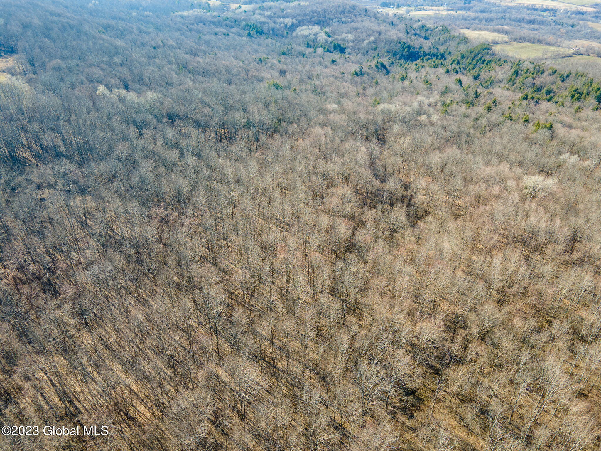 L2 West Fiery Hill Road Fort Plain, NY 13339 - Photo 5 of 18 5-web-or-mls-WFieryHillRd-5