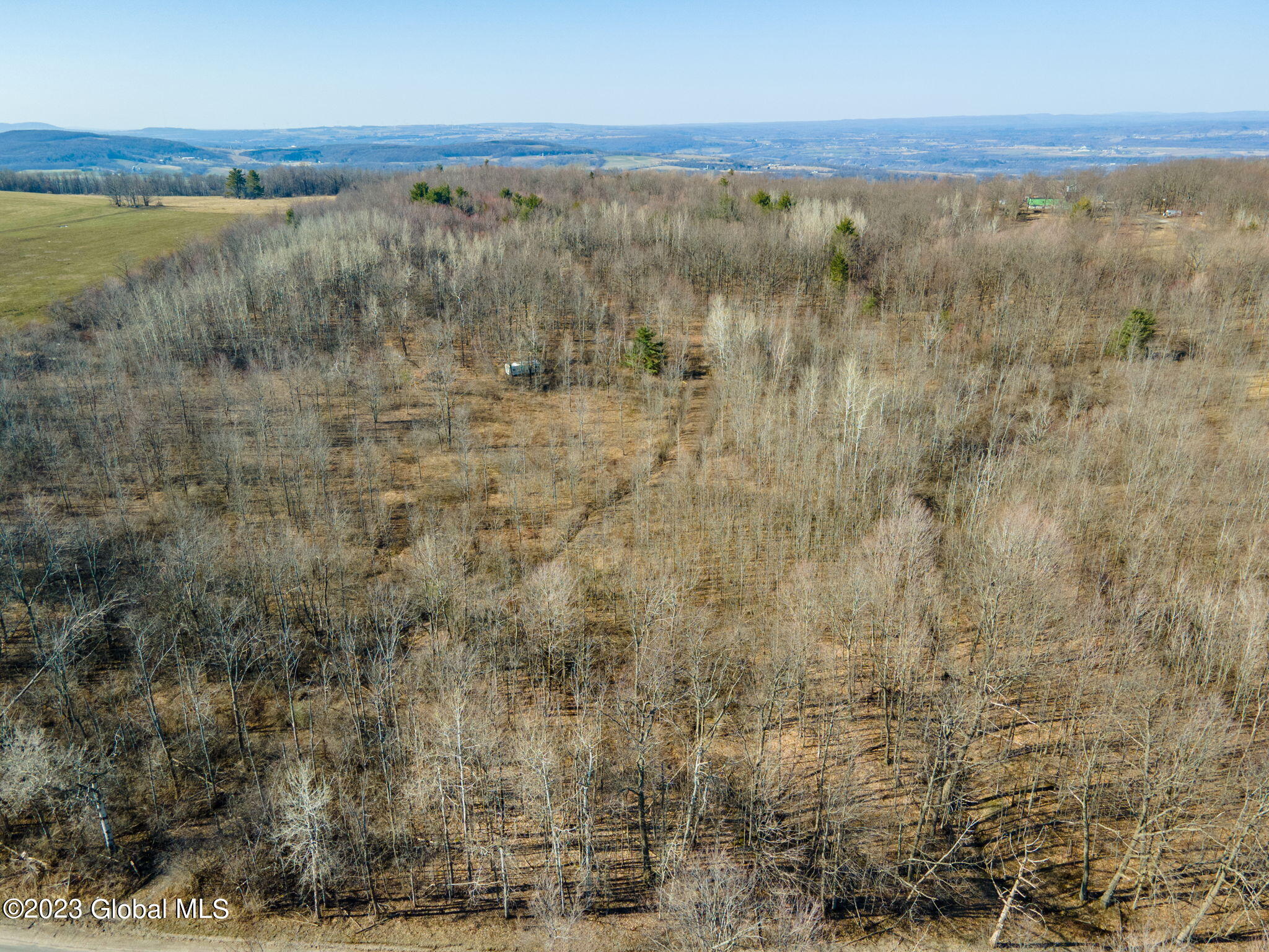 L2 West Fiery Hill Road Fort Plain, NY 13339 - Photo 8 of 18 8-web-or-mls-WFieryHillRd-8