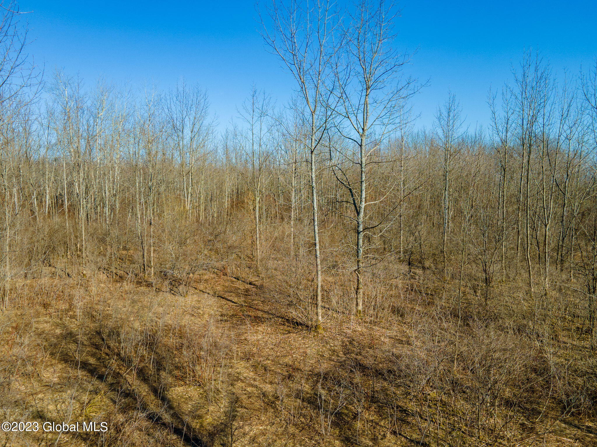L2 West Fiery Hill Road Fort Plain, NY 13339 - Photo 10 of 18 10-web-or-mls-WFieryHillRd-10