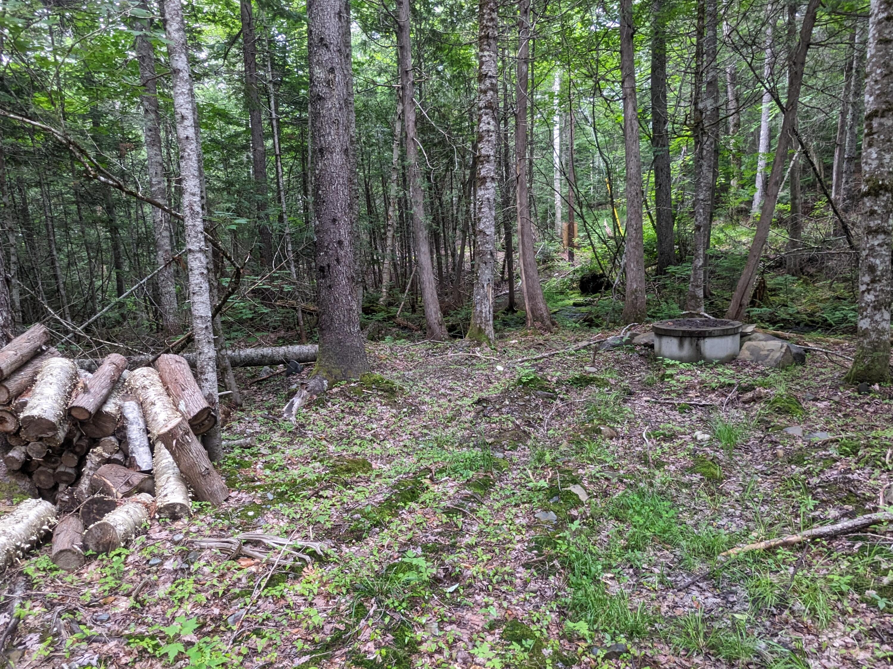 2 Greenville Road Shirley Mills, ME 04485 - Photo 31 of 40 PXL_20230715_213134444