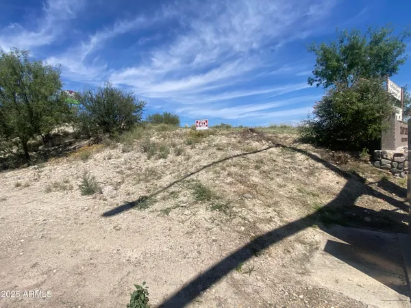 a view of a dry yard with wooden fence