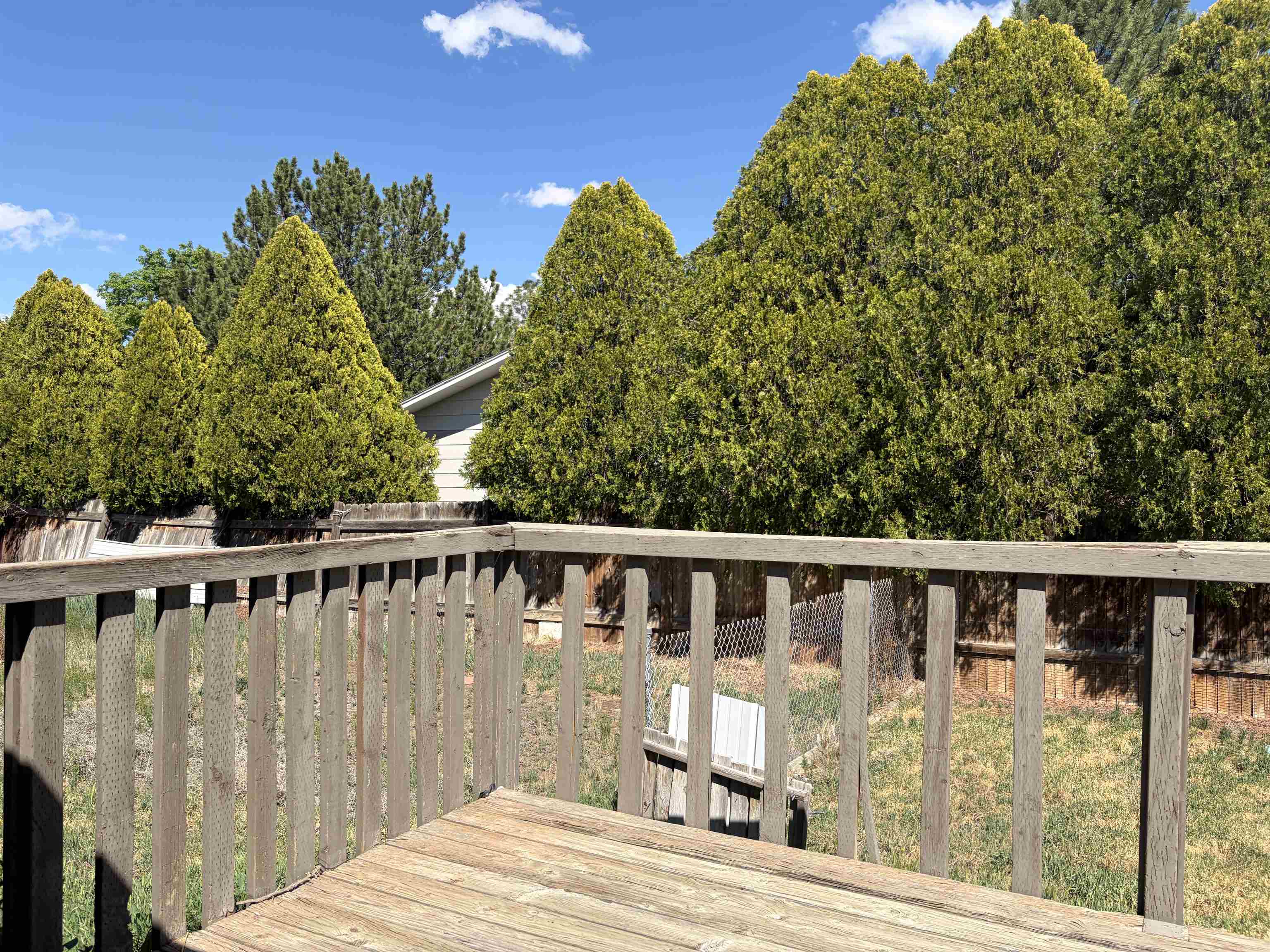508 33 Road Clifton, CO 81520 - Photo 6 of 6