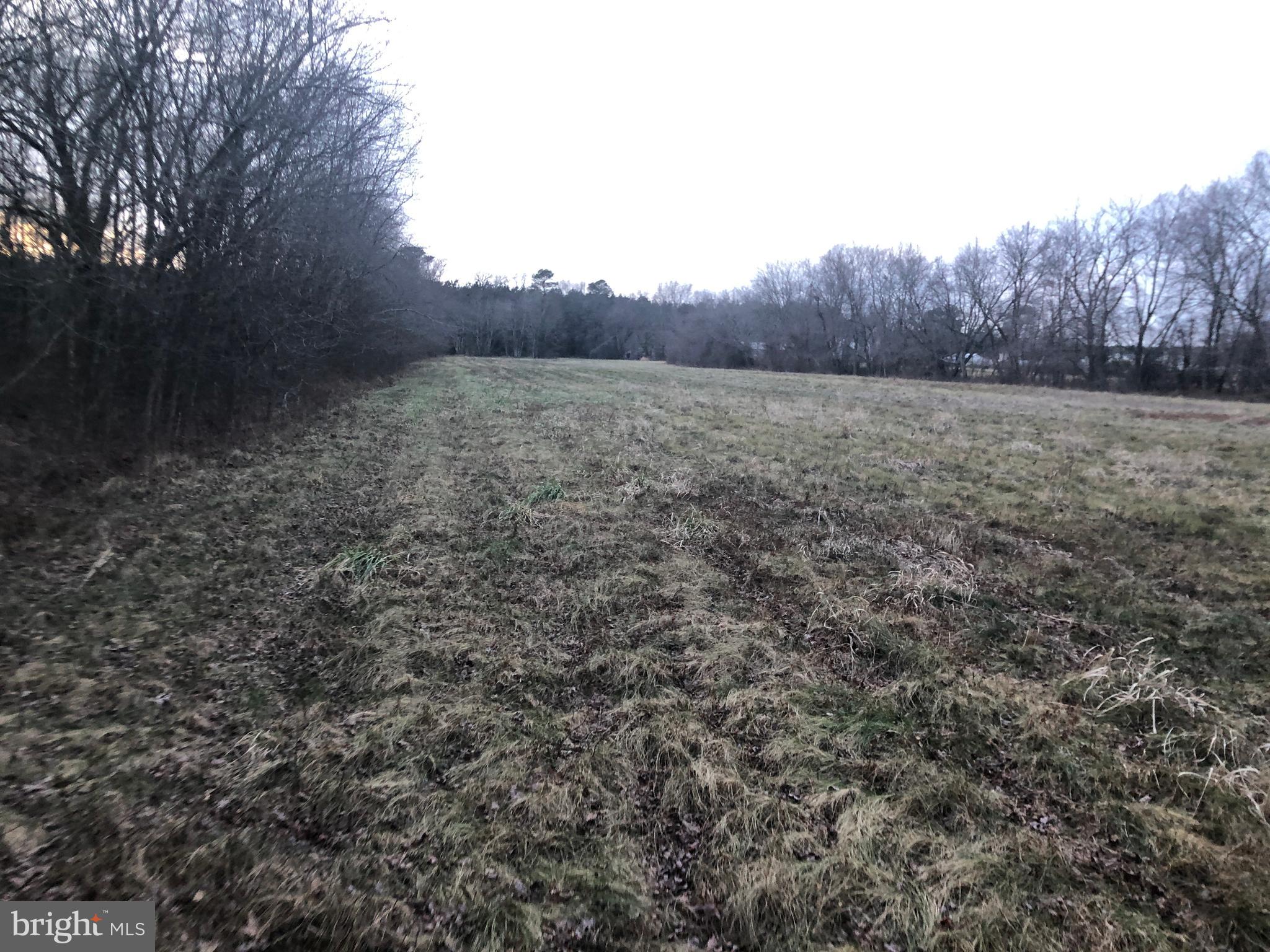 33793 East Line Road Delmar, MD 21875 - Photo 20 of 44