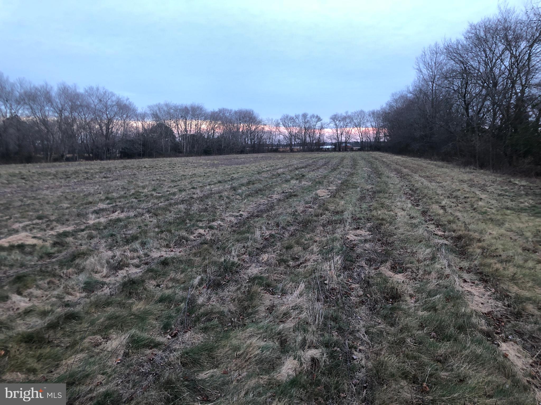 33793 East Line Road Delmar, MD 21875 - Photo 21 of 44