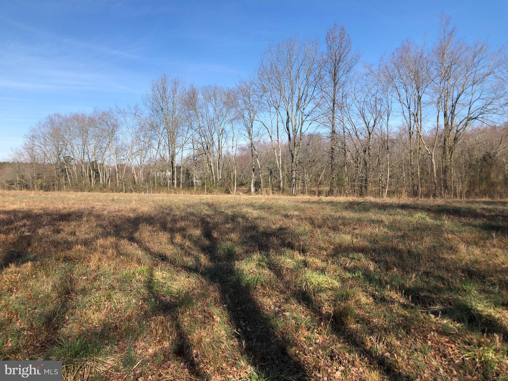 33793 East Line Road Delmar, MD 21875 - Photo 27 of 44