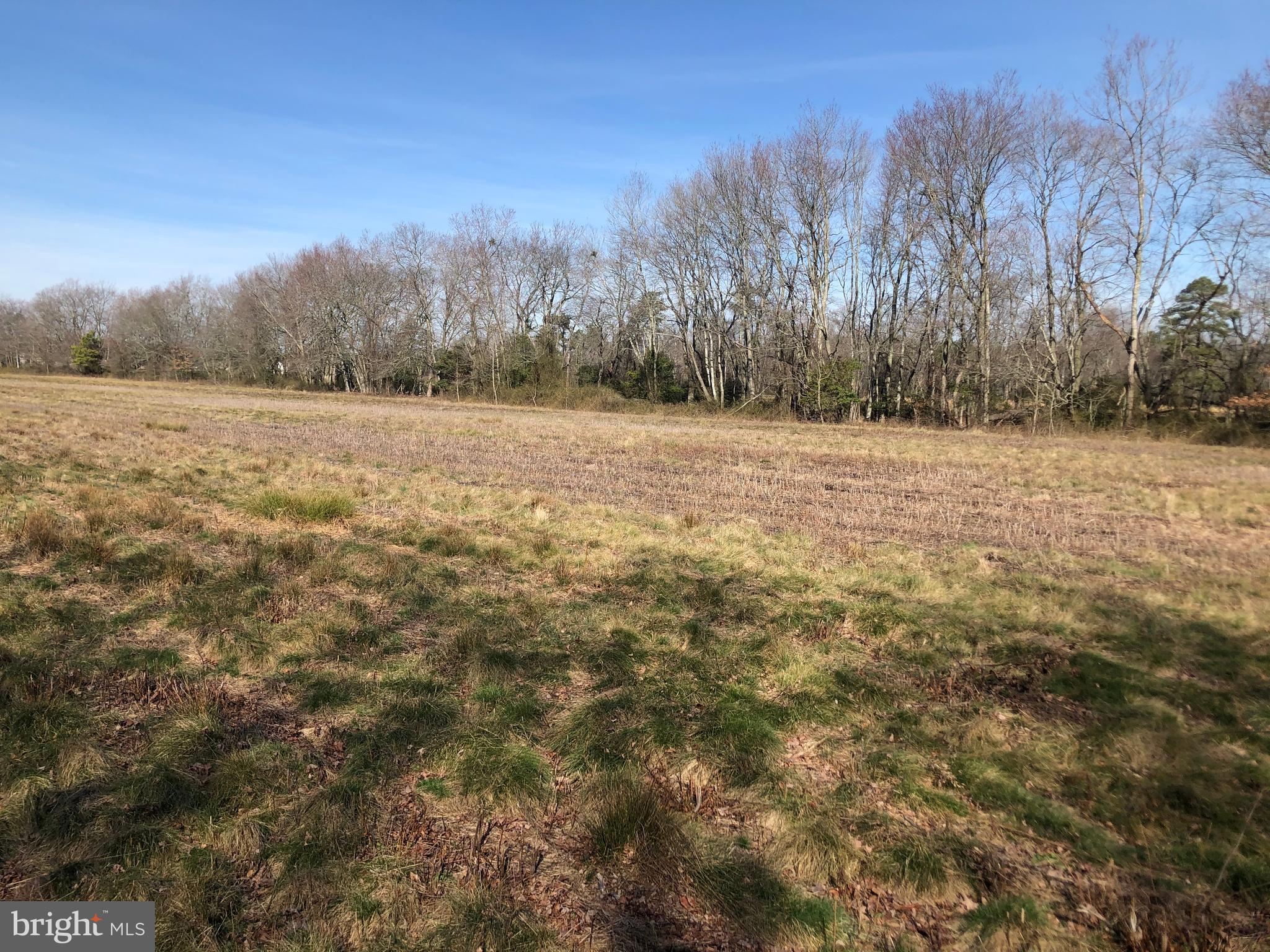 33793 East Line Road Delmar, MD 21875 - Photo 31 of 44