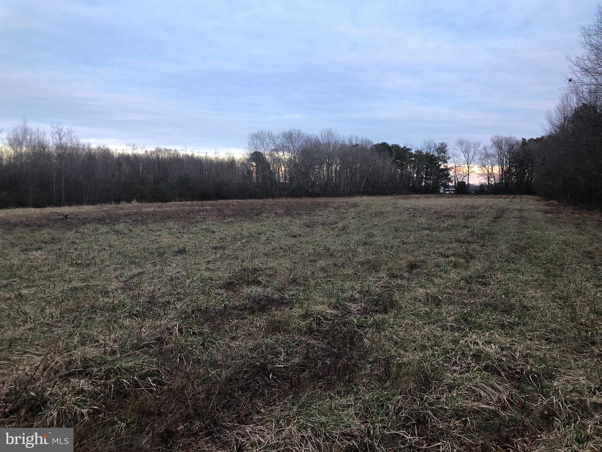 33793 East Line Road Delmar, MD 21875 - Photo 6 of 44