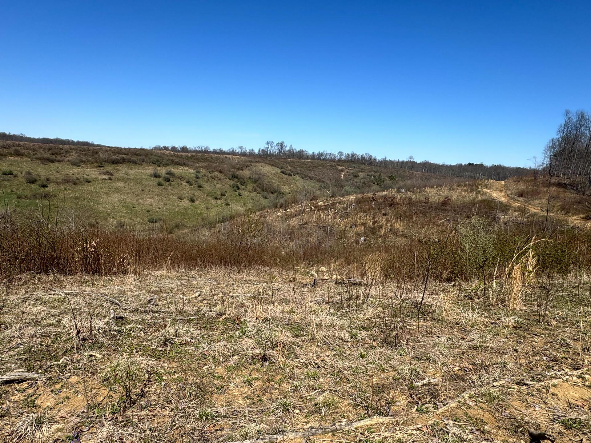 0 Sulphur Spring Road Southeast, Unit 105 ACRE SULPHUR SPRINGS) New Lexington, OH 43764 - Photo 28 of 30 CT-28