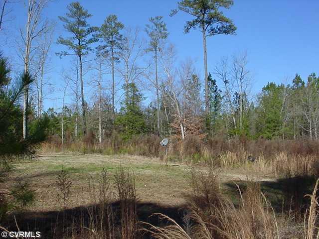 2909 Newville Road Disputanta, VA 23842 - Photo 4 of 10 Gallery Image 4