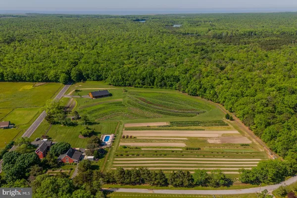 a view of a green yard