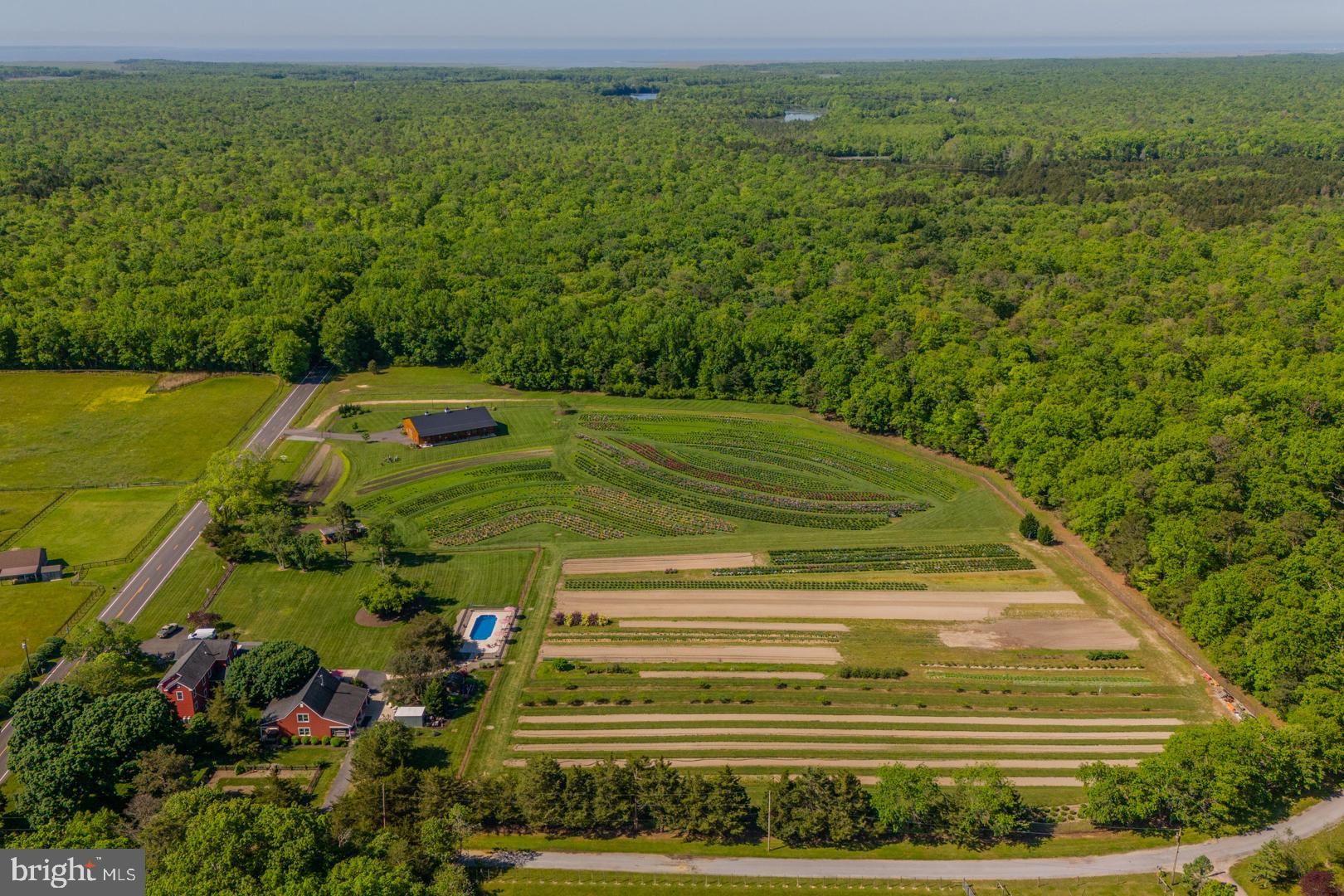 a view of a green yard