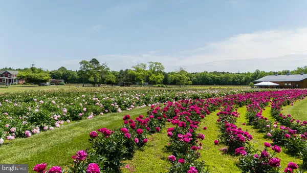 a view of outdoor space and yard