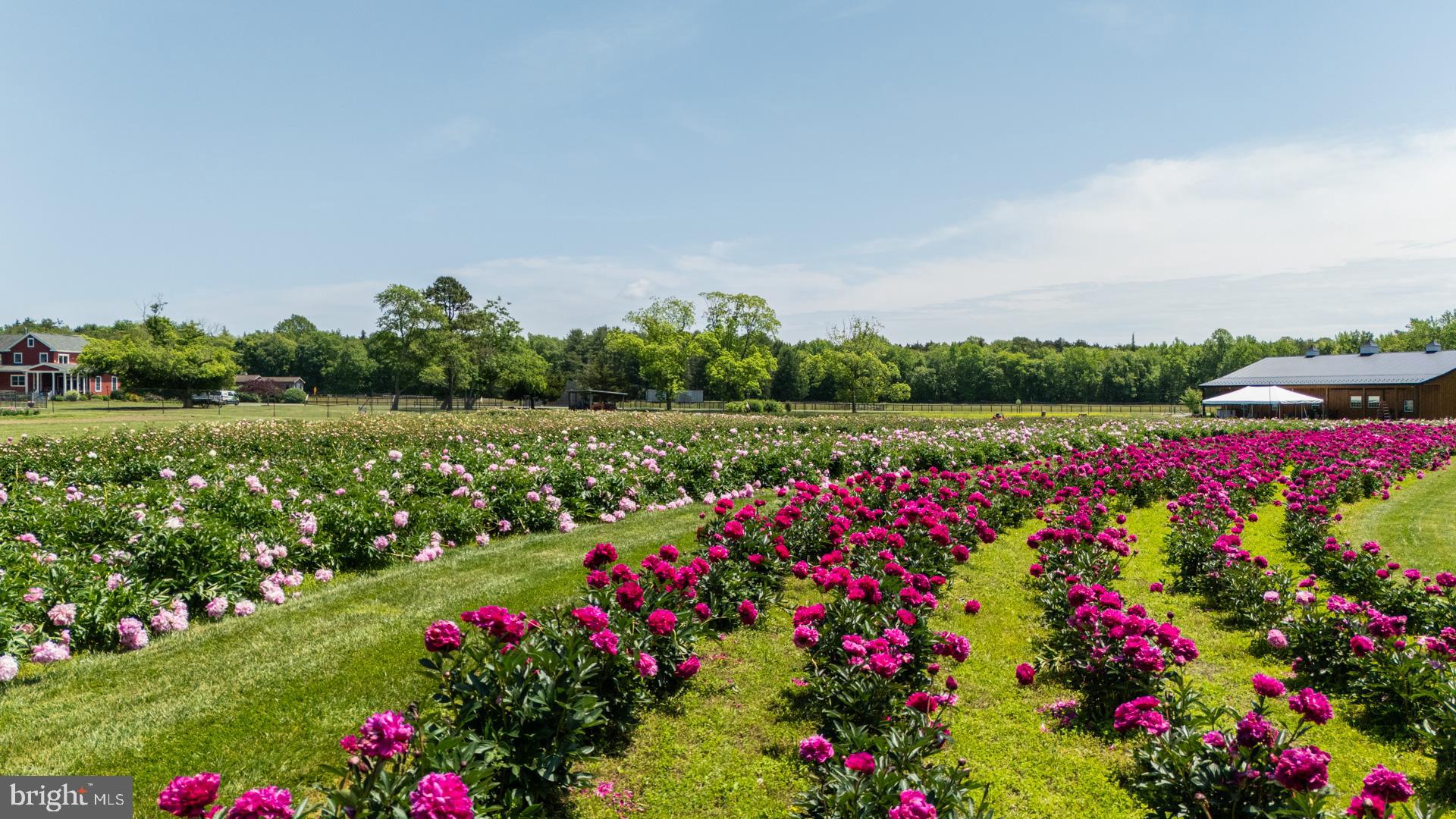 550 Hands Mill Road Woodbine, NJ 08270 - Photo 18 of 57