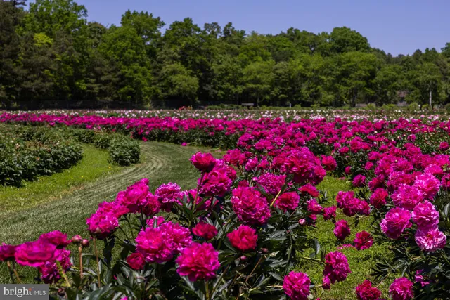 $1,999,000 | 550 Hands Mill Road, Woodbine, NJ 08270