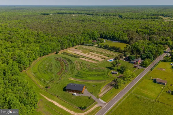 a view of a lush green space
