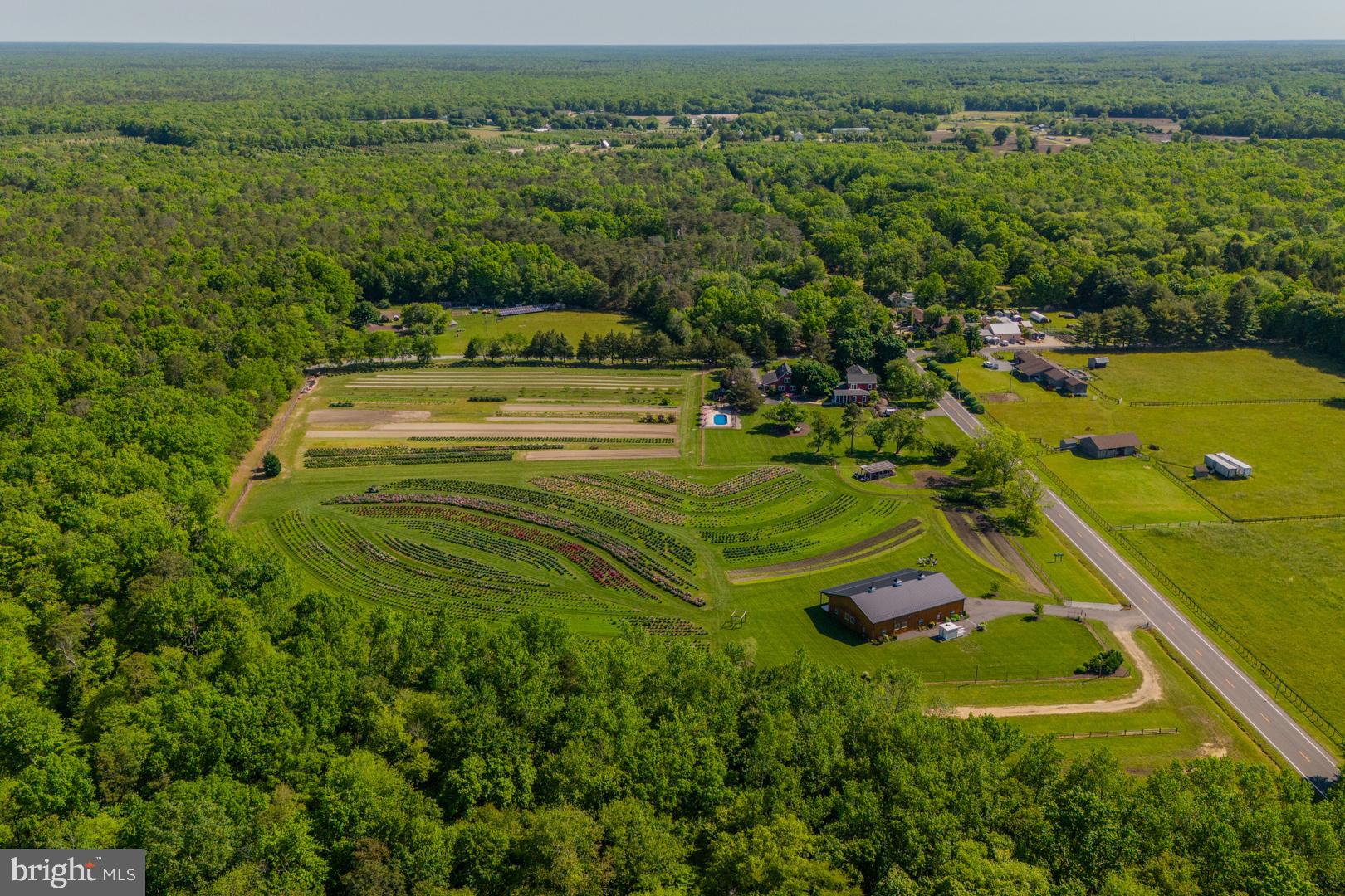 550 Hands Mill Road Woodbine, NJ 08270 - Photo 3 of 57 a view of a lush green space