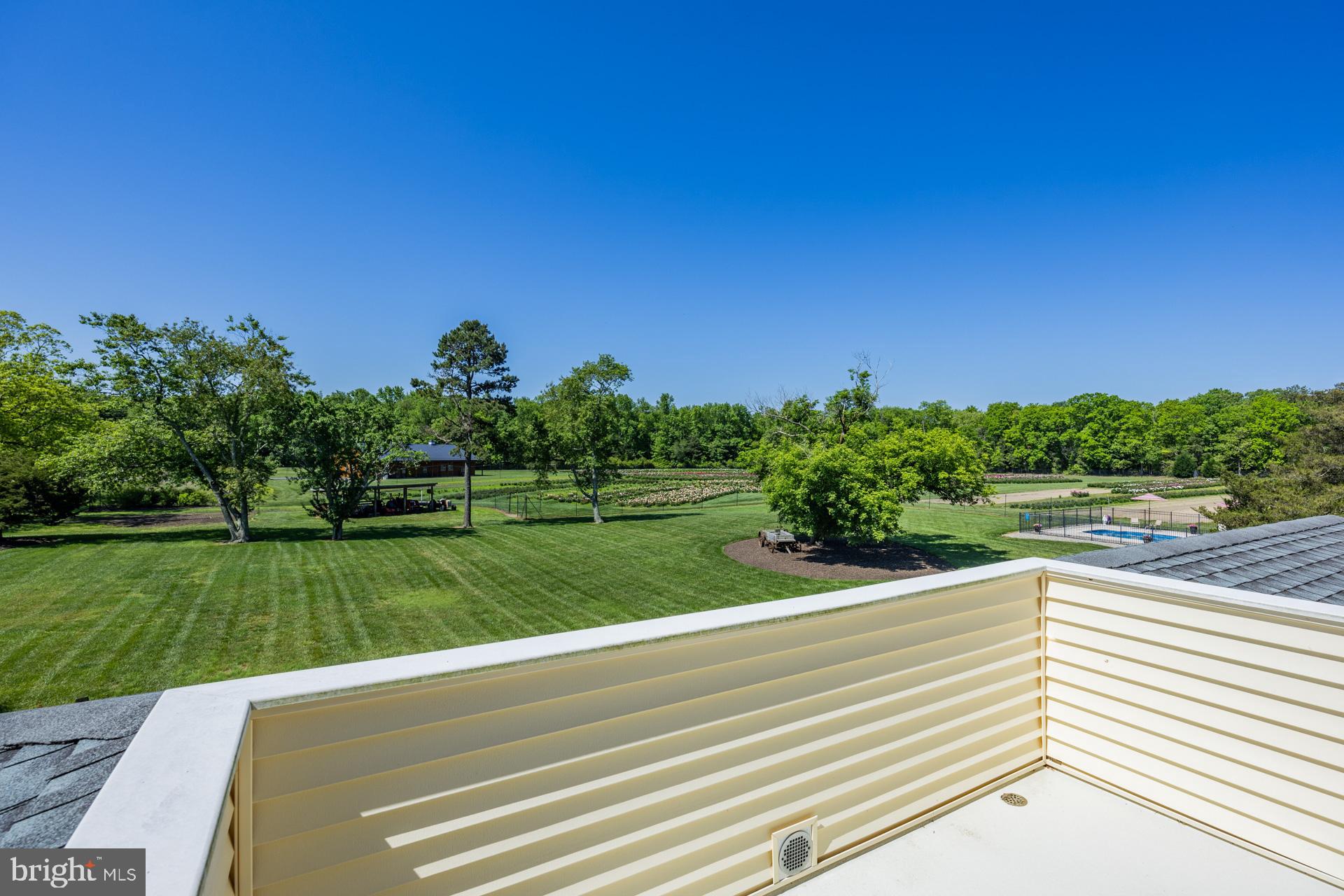 550 Hands Mill Road Woodbine, NJ 08270 - Photo 49 of 57 a view of a street with a yard and large trees