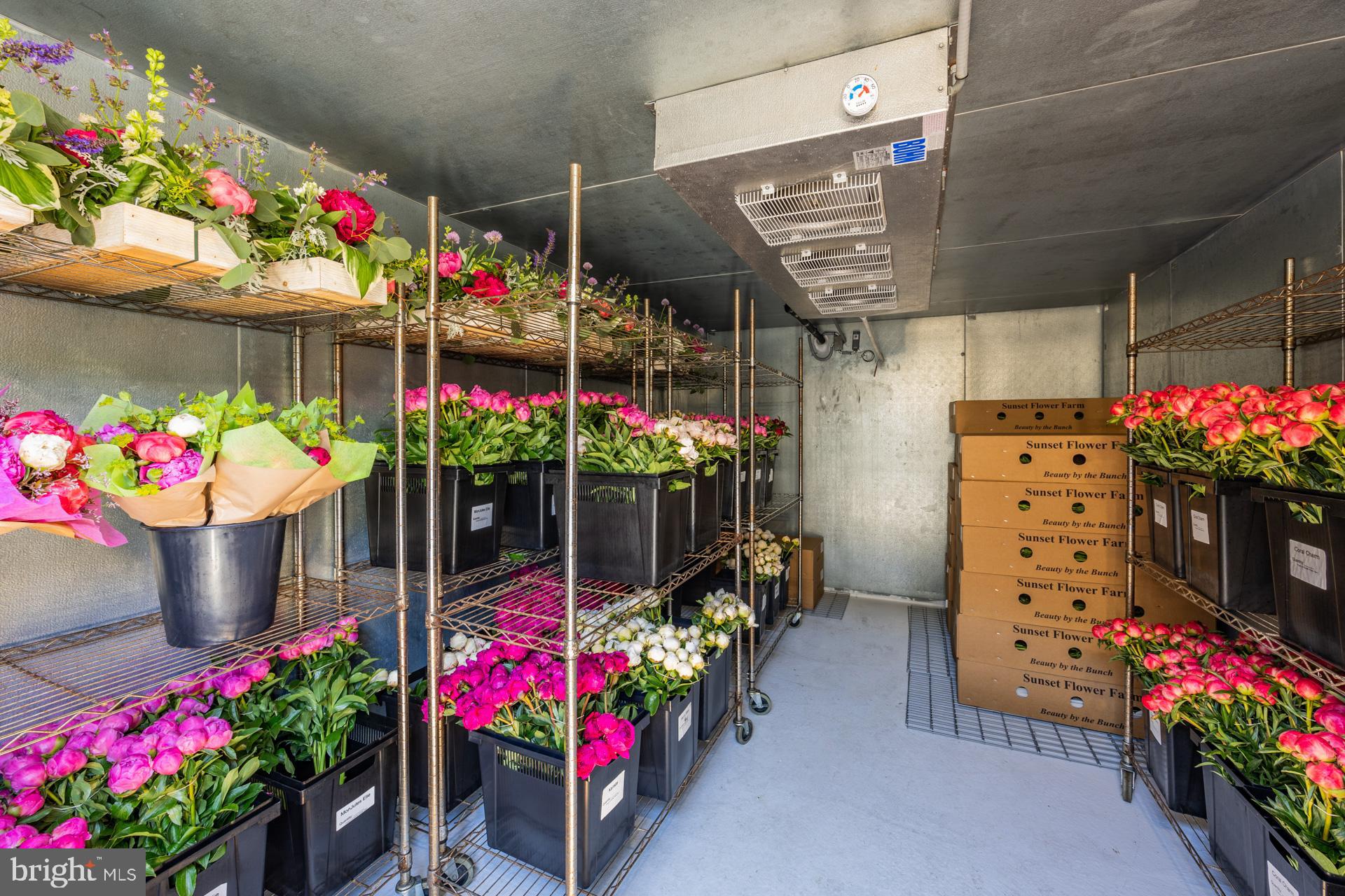 550 Hands Mill Road Woodbine, NJ 08270 - Photo 51 of 57 a view of a store with a lot of flowers