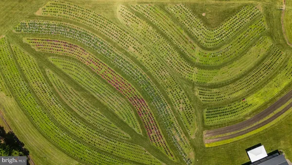 front view of a building