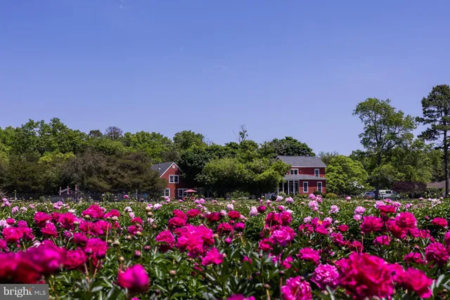 $1,999,000 | 550 Hands Mill Road, Woodbine, NJ 08270