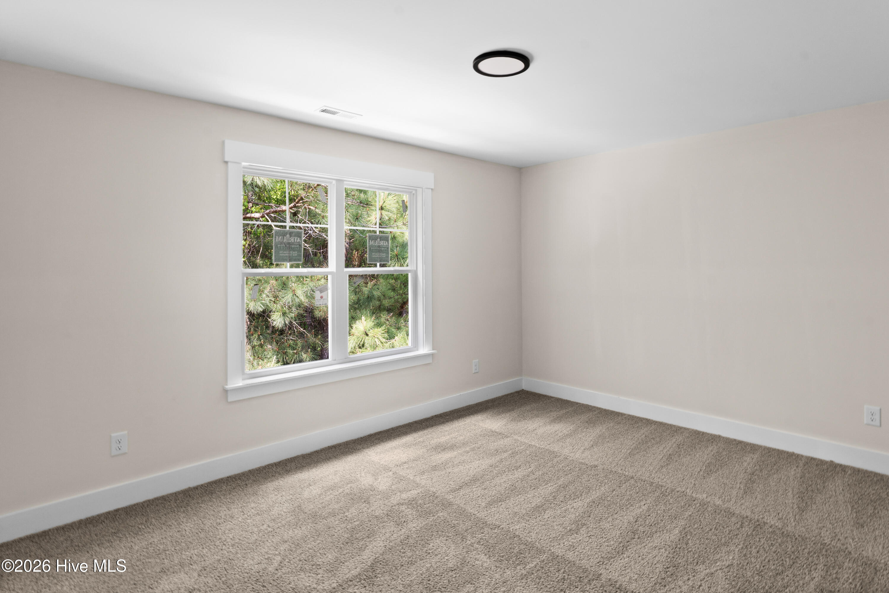 445 Peregrine Ridge Drive New Bern, NC 28560 - Photo 13 of 39 14-DSC05842