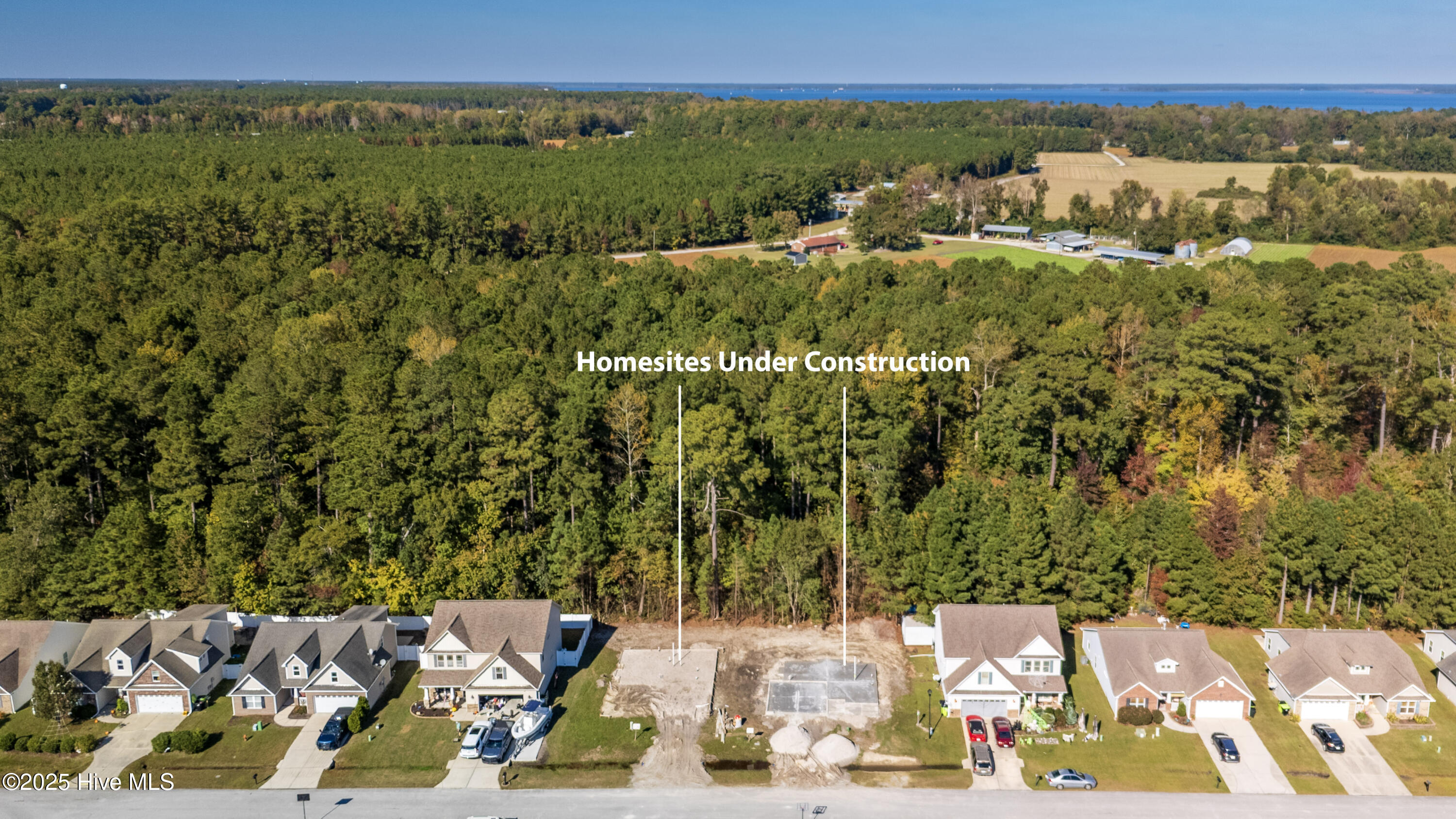 445 Peregrine Ridge Drive New Bern, NC 28560 - Photo 27 of 39 16-DJI_20251101141222_0027_D-HDR-Edit