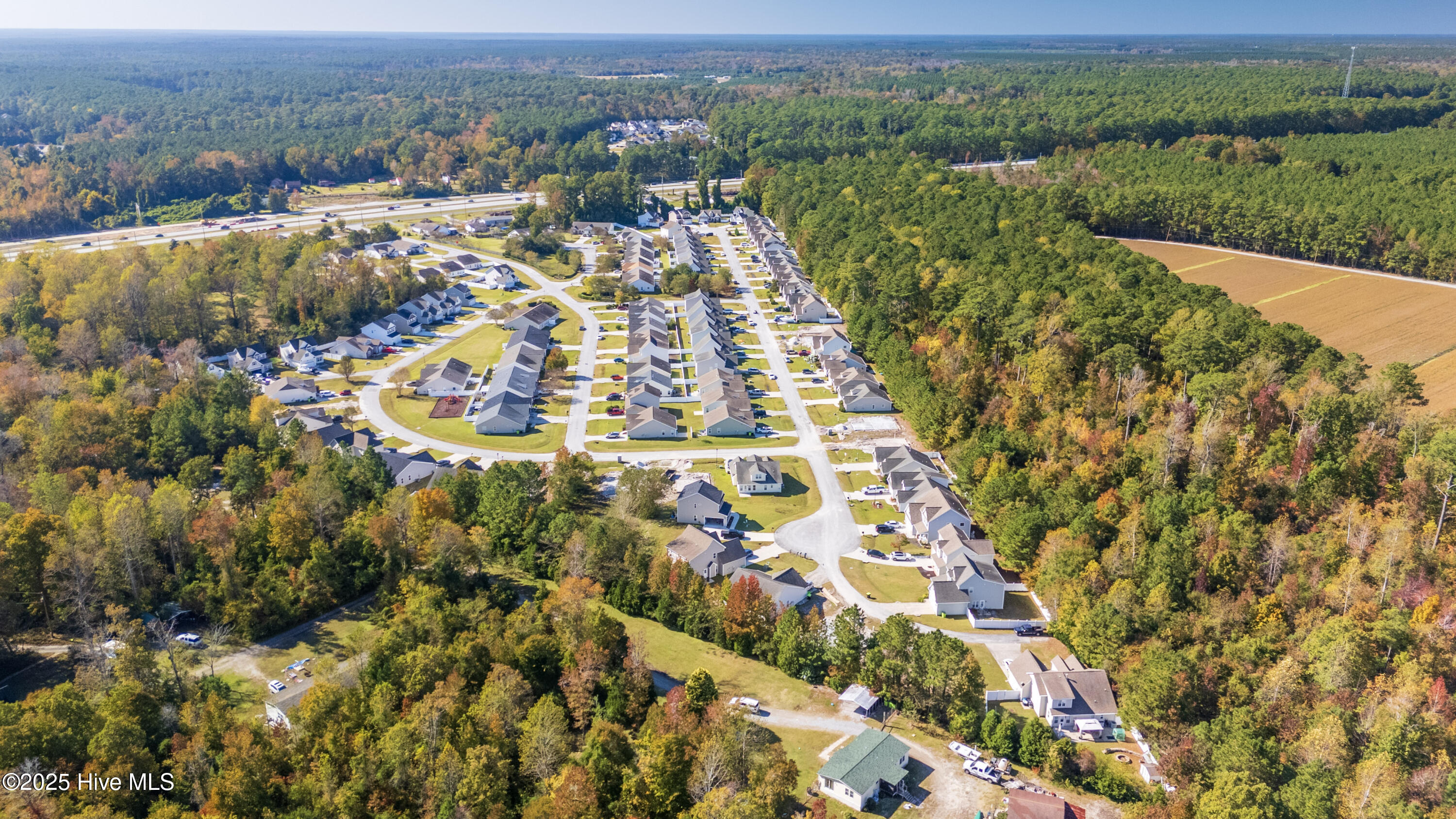 445 Peregrine Ridge Drive New Bern, NC 28560 - Photo 36 of 39 5-DJI_20251101140829_0009_D-HDR