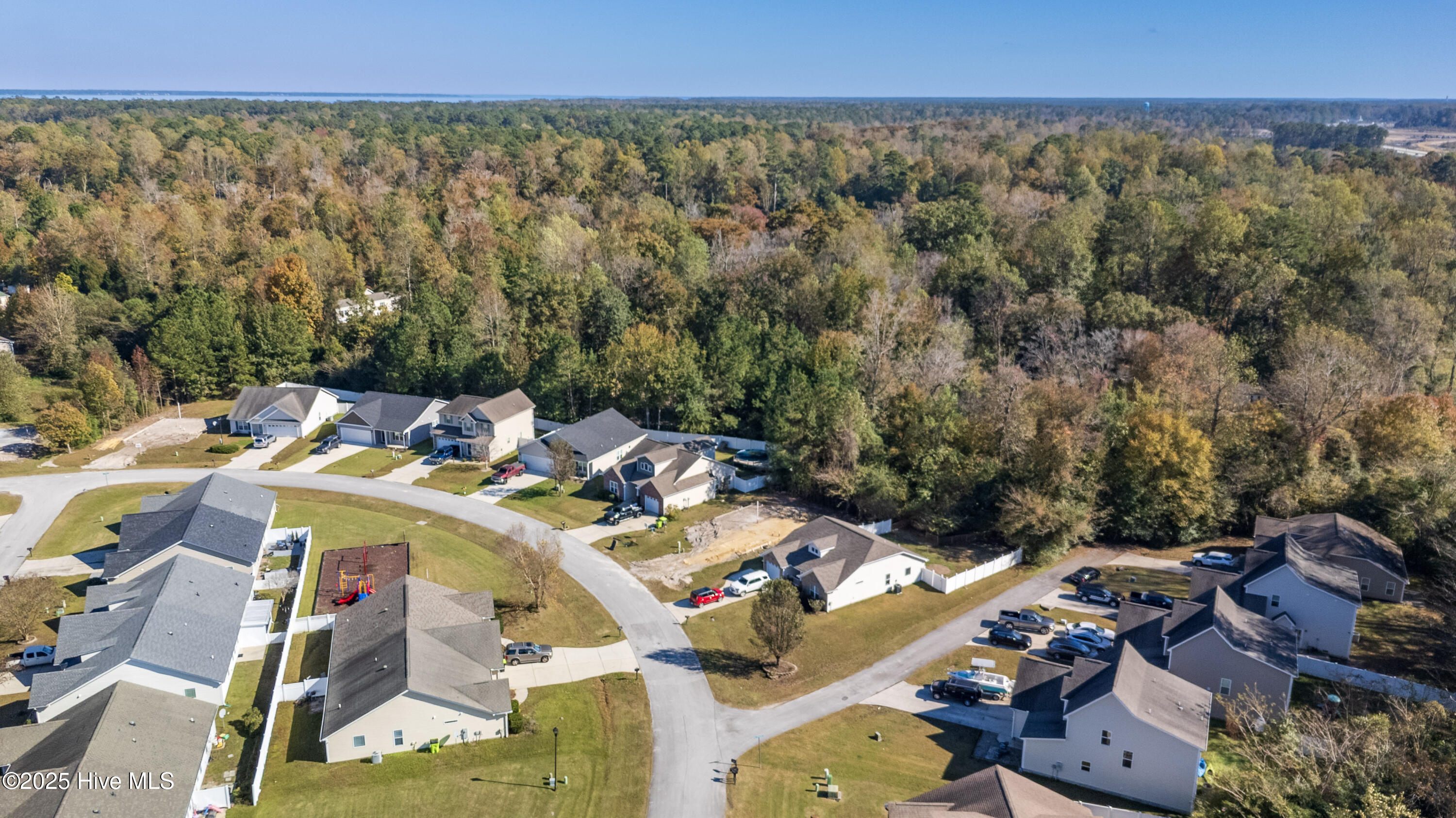 445 Peregrine Ridge Drive New Bern, NC 28560 - Photo 6 of 19 17-DJI_20251101141315_0030_D-HDR