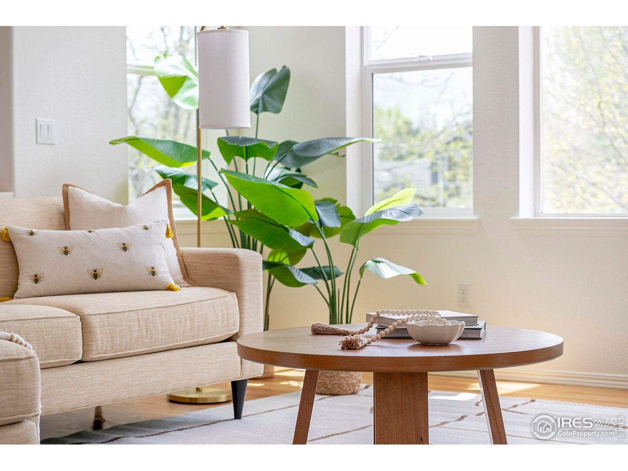 1414 Hoffman Drive Erie, CO 80516 - Photo 8 of 37 a living room with furniture and a potted plant