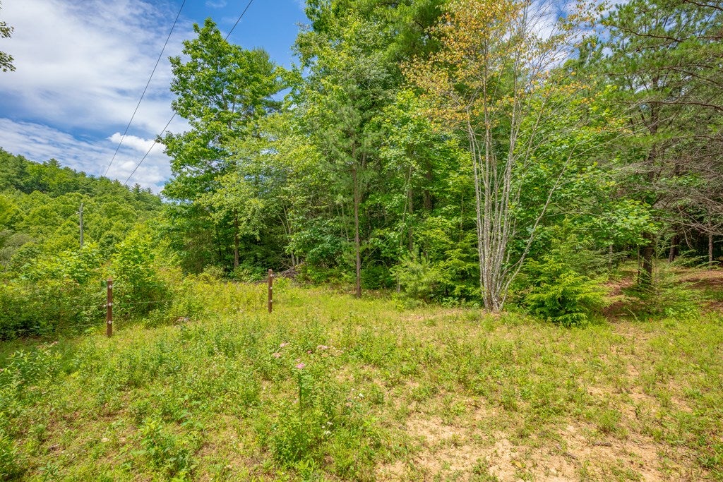 474 Scratch Gravel Road, Unit 96 Ivanhoe, VA 24350 - Photo 17 of 75 Gallery Image 17