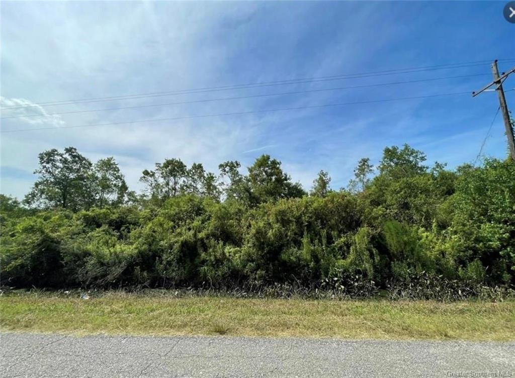 0 Cypress Point Road Gueydan, LA 70542 - Photo 1 of 1 Gallery Image 1