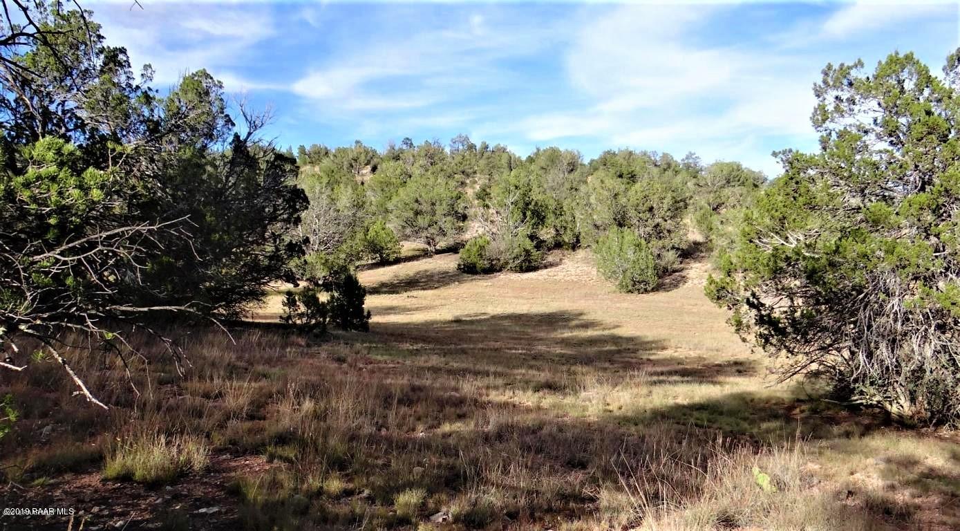 101 Bucks Road Seligman, AZ 86337 - Photo 11 of 16 20160429230423562740000000-o