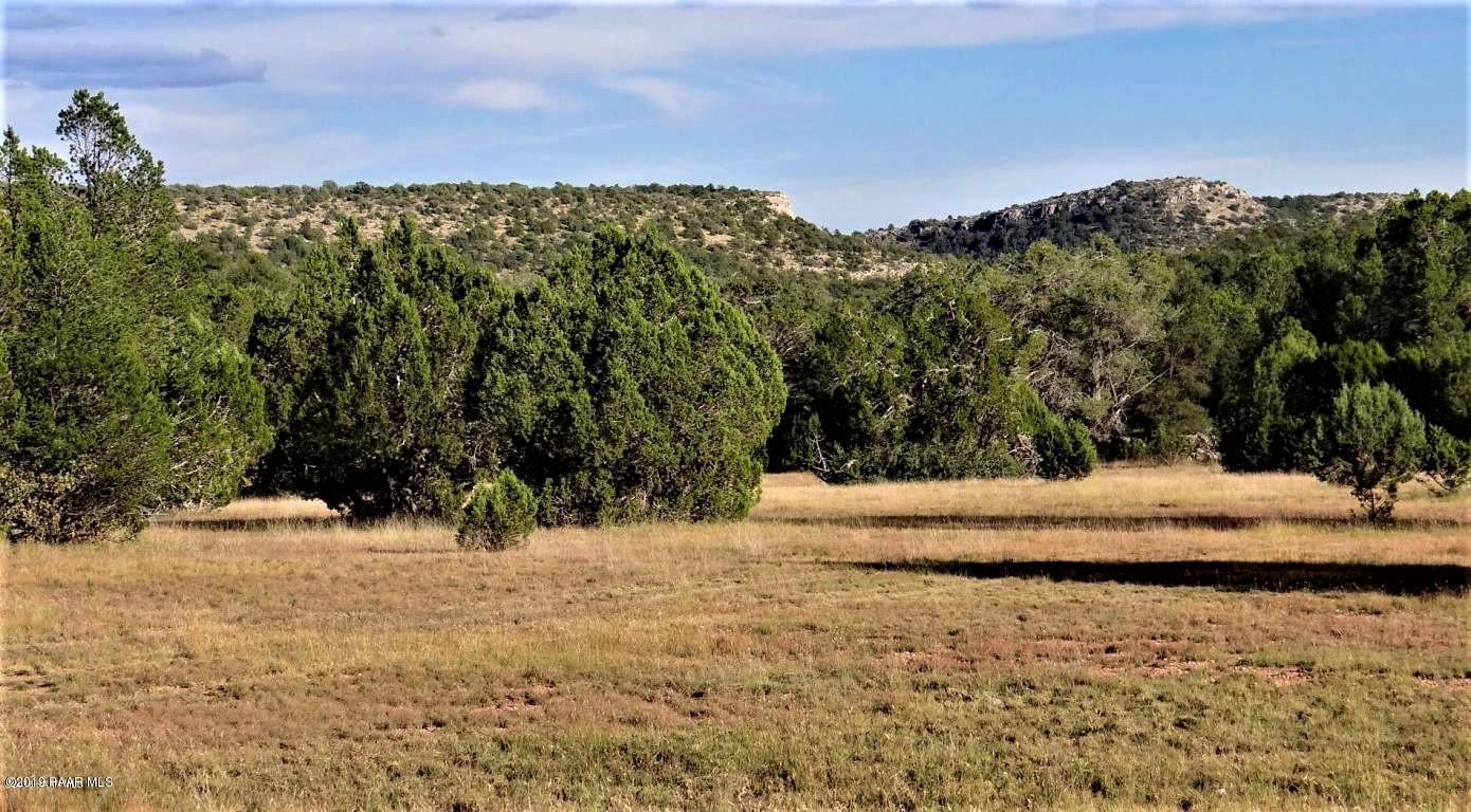 101 Bucks Road Seligman, AZ 86337 - Photo 12 of 16 20160429230427521148000000-o