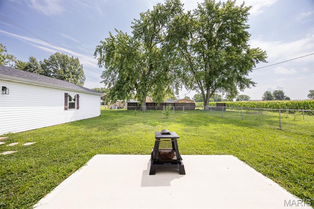 2309 South 6th Street Fayetteville, IL 62258 - Photo 19 of 22