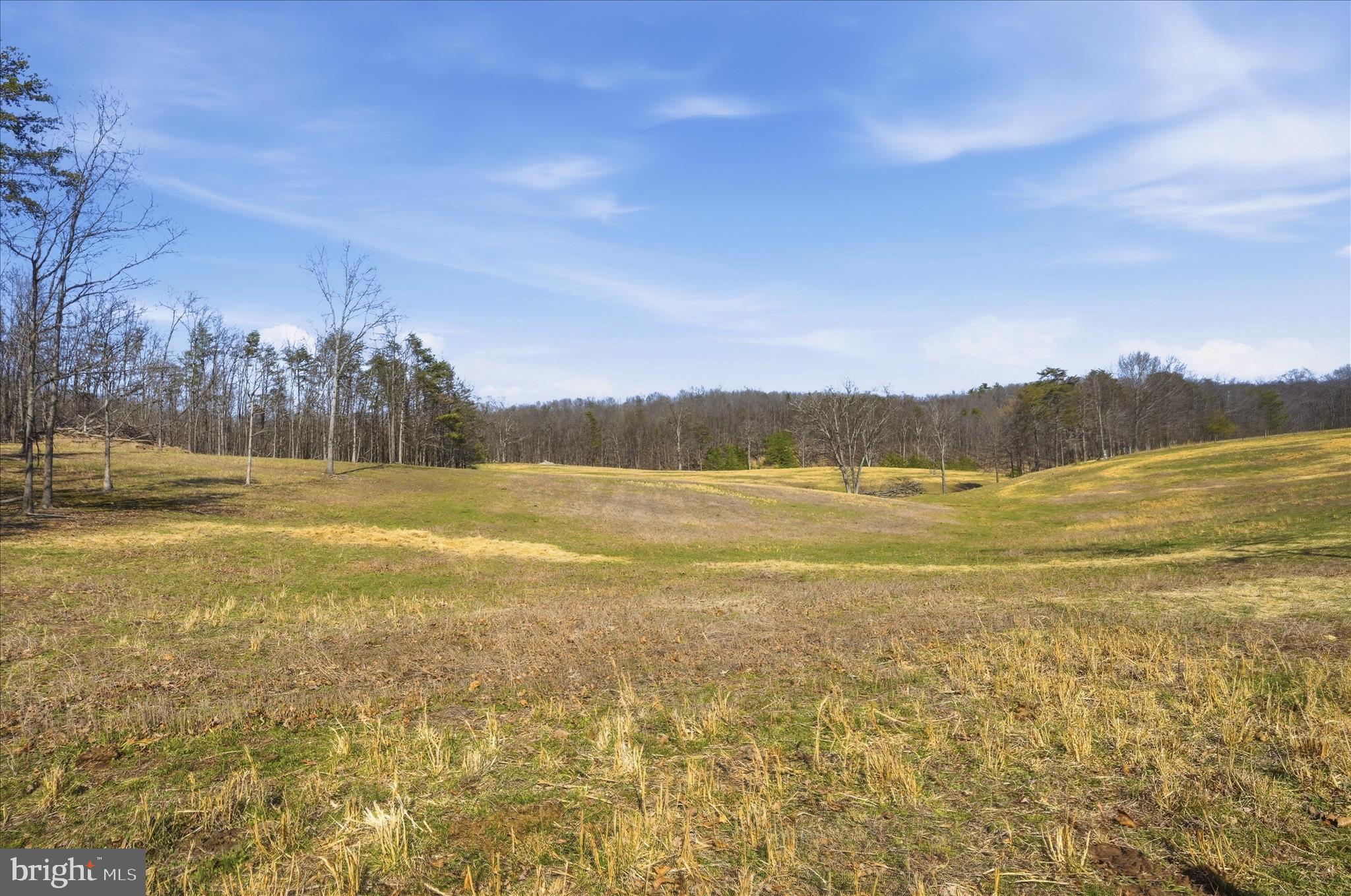 Light Road Winchester, VA 22603 - Photo 26 of 79 Lot Area