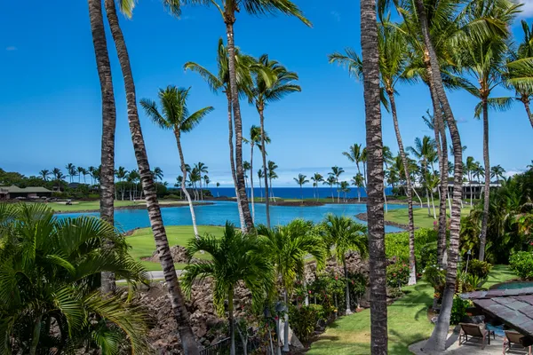 $17,500,000 | 68-1028 Honokaope Place, Kamuela, HI 96743