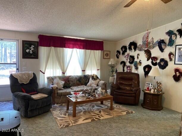 2857 Angel Road Overgaard, AZ 85933 - Photo 14 of 22 Living Rm