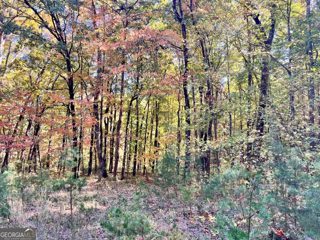 $18,900 | 0 Lot 22 Wauka Mountain Terrace, Clermont, GA 30527