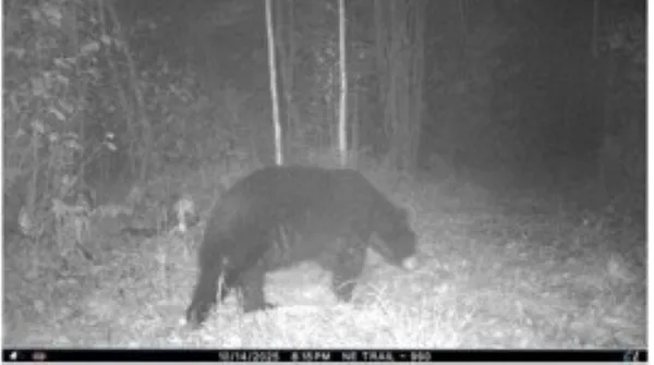 $684,900 | W17810 Eland Road, Wittenberg, WI 54499