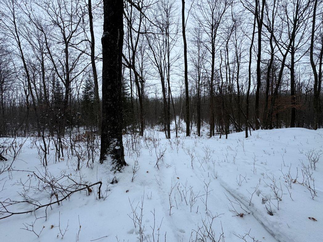 W17810 Eland Road Wittenberg, WI 54499 - Photo 46 of 86 IMG_7609