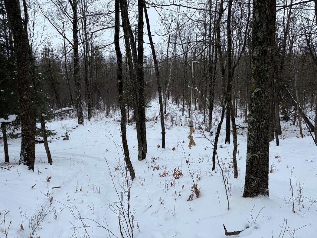 W17810 Eland Road Wittenberg, WI 54499 - Photo 47 of 86 IMG_7610