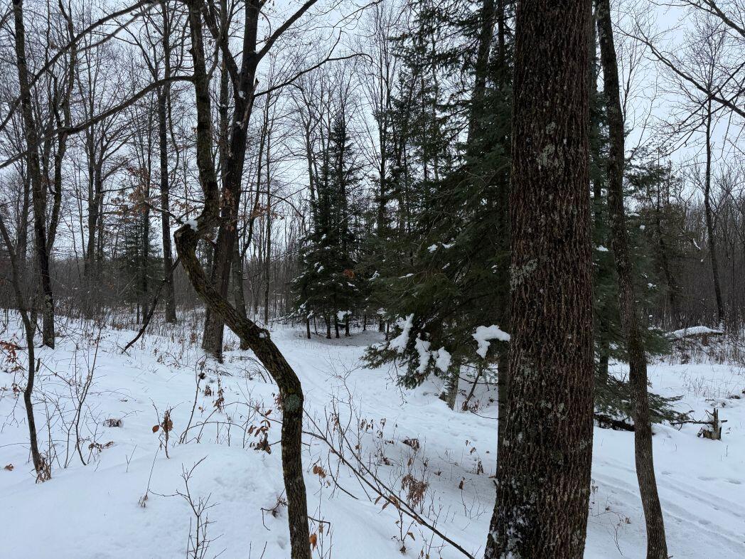 W17810 Eland Road Wittenberg, WI 54499 - Photo 48 of 86 IMG_7611