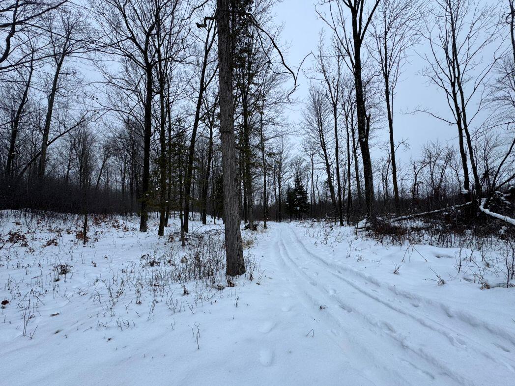 W17810 Eland Road Wittenberg, WI 54499 - Photo 50 of 86 IMG_7613