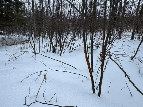 $684,900 | W17810 Eland Road, Wittenberg, WI 54499