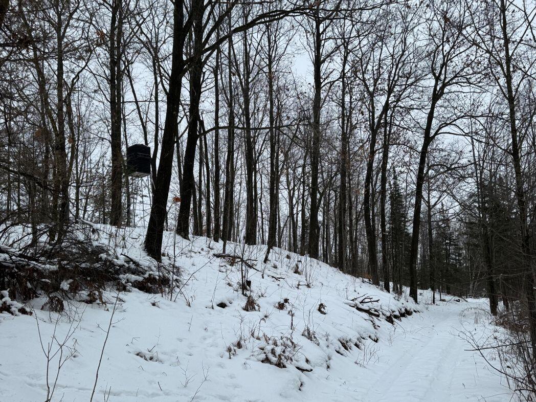 W17810 Eland Road Wittenberg, WI 54499 - Photo 61 of 86 IMG_7640